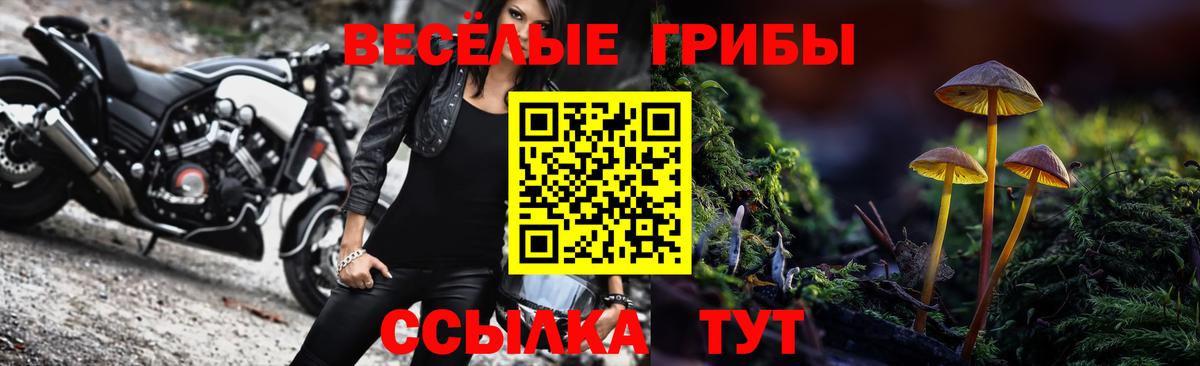 Галлюциногенные грибы мухоморы  Галлюциногенные грибы Cubensis  Вход с VPN  Сухой Лог 